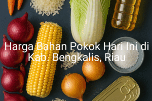 Update Harga Bahan Pokok / sembako di Kab. Bengkalis , Hari Ini (28 Juni 2025)