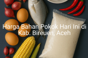 Update Harga Bahan Pokok / sembako di Kab. Bireuen , Hari Ini (21 Juni 2025)