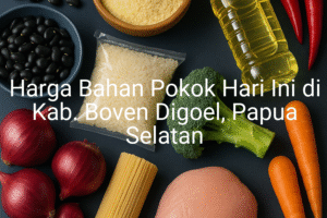 Update Harga Bahan Pokok / sembako di Kab. Boven Digoel , Hari Ini (28 Juni 2025)