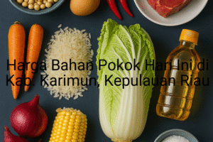 Update Harga Bahan Pokok / sembako di Kab. Karimun , Hari Ini (25 Juni 2025)