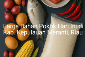 Update Harga Bahan Pokok / sembako di Kab. Kepulauan Meranti , Hari Ini (28 Juni 2025)