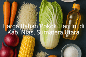 Update Harga Bahan Pokok / sembako di Kab. Nias , Hari Ini (21 Juni 2025)