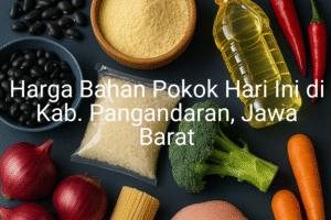 Update Harga Bahan Pokok / sembako di Kab. Pangandaran , Hari Ini (22 Juni 2025)