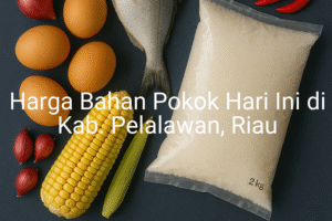 Update Harga Bahan Pokok / sembako di Kab. Pelalawan , Hari Ini (28 Juni 2025)