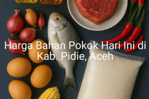 Update Harga Bahan Pokok / sembako di Kab. Pidie , Hari Ini (20 Juni 2025)