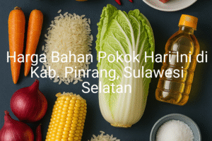 Update Harga Bahan Pokok / sembako di Kab. Pinrang , Hari Ini (29 Juni 2025)