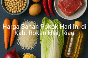 Update Harga Bahan Pokok / sembako di Kab. Rokan Hilir , Hari Ini (28 Juni 2025)
