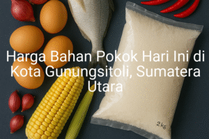 Update Harga Bahan Pokok / sembako di Kota Gunungsitoli , Hari Ini (21 Juni 2025)