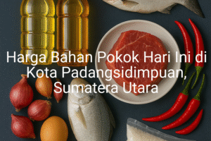 Update Harga Bahan Pokok / sembako di Kota Padangsidimpuan , Hari Ini (21 Juni 2025)