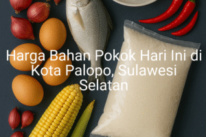 Update Harga Bahan Pokok / sembako di Kota Palopo , Hari Ini (29 Juni 2025)