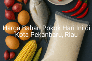 Update Harga Bahan Pokok / sembako di Kota Pekanbaru , Hari Ini (28 Juni 2025)