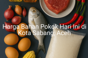 Update Harga Bahan Pokok / sembako di Kota Sabang , Hari Ini (21 Juni 2025)