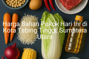 Update Harga Bahan Pokok / sembako di Kota Tebing Tinggi , Hari Ini (21 Juni 2025)